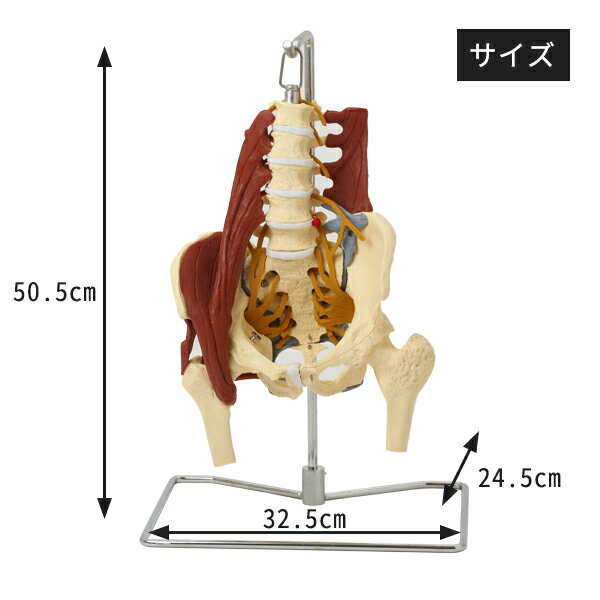 �����Ϸ� �����Ϸ� ���׶ڡ����ӡ������� ��ʪ�� �����Ϸ� ����ɸ�� ���Ϸ� �����Ϸ� �͹��Ϸ� ���ʥ�ǥ� ���Υ�ǥ� �ҥ塼�ޥ󥹥��� ���� ���� ���� �������� �Ϸ� ���� ���� ���� �¸� ���α� 蝹䱡 �ϥ�������