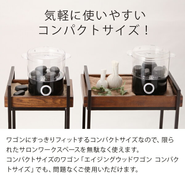 スチームウォーマー 蒸し器 S ファクトリーアウトレット タオルウォーマー 蒸しタオル おしぼり ホットストーン ハーブボール スチーマー 小型 E 2 6 1 スチーム ウォーマー 業務用