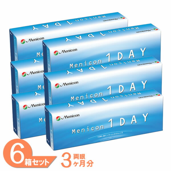 【送料無料】 メニコンワンデー 6箱セット (1箱30枚) メニコン コンタクトレンズ 1Day 1日使い捨て コンタクト menicon 21700BZY00089000のサムネイル