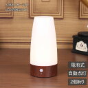 人感センサーライド 室内 LEDライト 自動点灯 電池式 常時点灯 玄関 廊下 階段 モード切り替え 転倒防止 送料無料 明暗センサー 足元ライト
