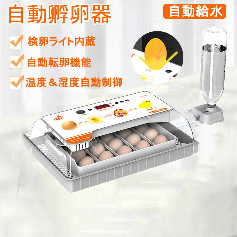 楽天市場】lifebasis 孵卵器の通販 楽天市場】lifebasis 孵卵器の通販