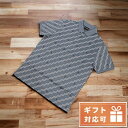 ＼激アツな6日間★全品10%OFFクーポン／ エンポリオ・アルマーニ ポロシャツ メンズ EMPORIO ARMANI ベトナム 3K1FB6 GRIGIO RIGA EA グレー系 ファッション 選べるモデル