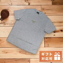 ＼激アツな6日間★全品10%OFFクーポン／ エンポリオ・アルマーニ Tシャツ メンズ EMPORIO ARMANI ベトナム 3L1TCD GRIGIO MEL MED グレー系 ファッション 選べるモデル