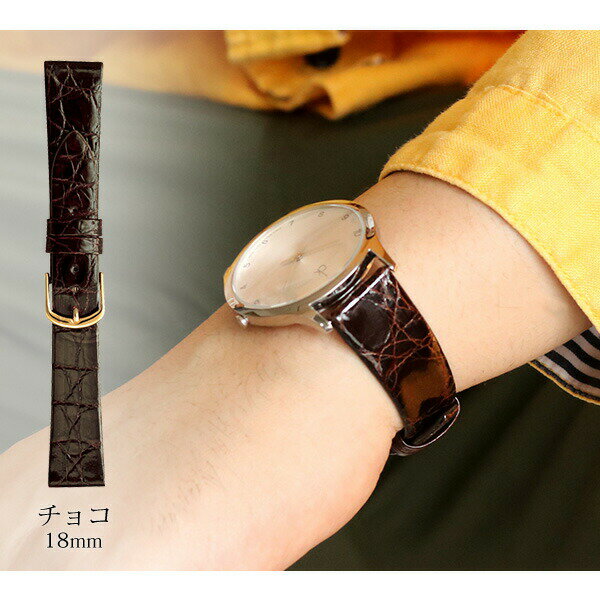 ＼2000円OFFクーポン★さらにポイント+9倍／ 時計 ベルト 16mm 17mm 18mm 19mm 20mm ワニ革 カイマンシャイニング 交換用 替えベルト 腕時計用 選べるベルト BWA180 プレゼント ギフト