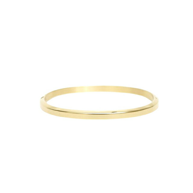 ���˥��륦�����ȥ� DANIEL WELLINGTON CLASSIC BANGLE �Х󥰥� DW00401653 ��˥��å��� �֥���
