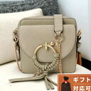 _Ac6ԁSi10%OFFN[|^ V[oCNG SEE BY CHLOE CHS19SS994330 38I WA JobO V_[obO |^[O[ fB[X JOAN CAMERA BAG MINI CROSSBODY uh