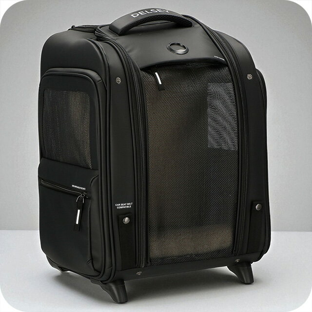 ＼2000円OFF+さらに9倍／ デルセー キャリーケース メンズ レディース ブランド DELSEY 00328917000 ブラック