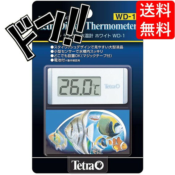 【5と0の日クーポンあり！】テトラ (Tetra) テトラ デジタル水温計 ホワイト WD-1 水温計 アクアリウム 熱帯魚 メダカ 金魚