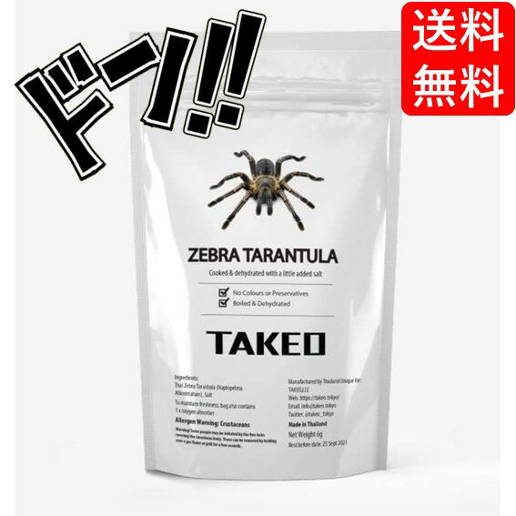 【5と0の日クーポンあり！】昆虫食 タランチュラ（蜘蛛/クモ）1匹 タイ産 食用虫 入門 TAKEO 罰ゲーム ドッキリ イタズラ ゲテモノ イベント サプライズ