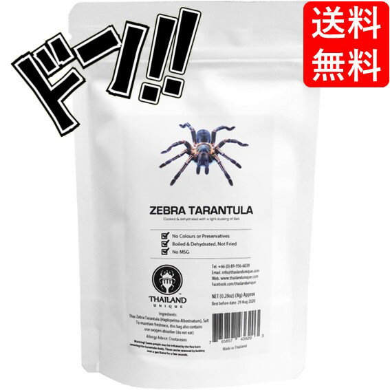 【5と0の日クーポンあり！】 昆虫食 タランチュラ Zebra Tarantula 8g TIU0021