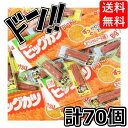 【5と0の日クーポンあり！】おつまみ定番！おやつカルパス（50コ）・ビッグカツ（20コ）おかしのマーチ