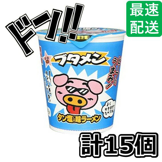 【5と0の日クーポンあり！】おやつカンパニー ブタメンタン塩 37g×15個