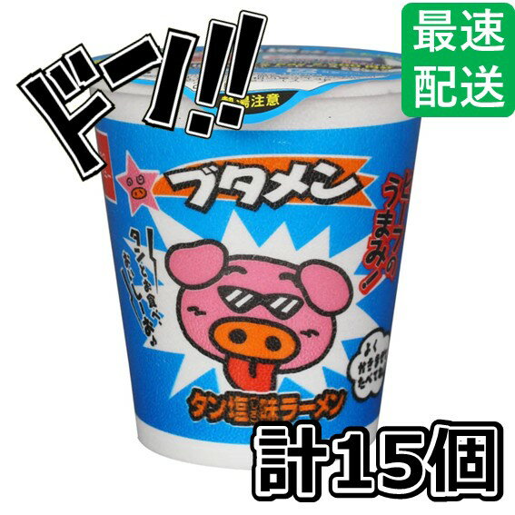 【5と0の日クーポンあり！】おやつカンパニー ベビースター ブタメンタン塩ラーメン 35g×15個