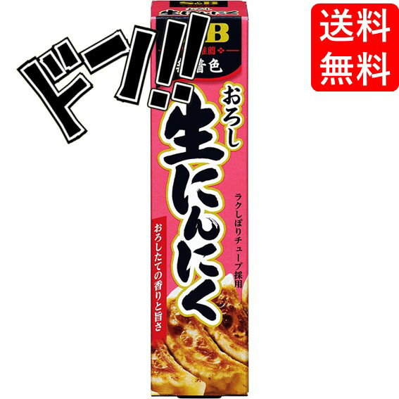 S&B おろし 生にんにく 43g　風味推薦シリーズ　調味料　おろし　チューブタイプ　エスビー　チューブ入り香辛料　豊かな風味　香り　食卓　香辛料　着色料不使用　便利　美味しい クッキング 料理に ニンニク