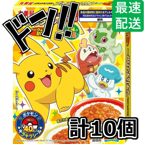 丸美屋 ポケモン プチパックカレー ポーク&野菜甘口 120g ×10箱　レトルトカレー　カレー　カレーライス　アニメ　キャラクター　コラボ商品　コラボ　ポケモン　ポケットモンスター　まるみや　あまくち　レトルト食品のサムネイル