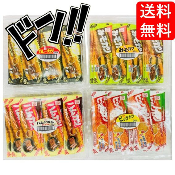すぐる ビックカツ4種類セット　ビックカツ　駄菓子　おつまみ　おやつ　お菓子　菓子　プレゼント　子供　イベント　定番 人気　大ヒット　昭和　懐かしの　懐かしい　遠足　おやつ　カレー　ハムカツ　味噌　景品 イベント 子供会のサムネイル