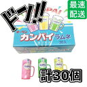 【5と0の日クーポンあり！】カンパイラムネ 30個入り BOX (食玩) チーリン ミニチュア ビール ビールジョッキ ラムネ ラムネ菓子 タブレット 景品 人気 縁日 イベント 子供 お菓子 駄菓子 美味しい プレゼント お徳用 お買い得 まとめ買い 箱買い