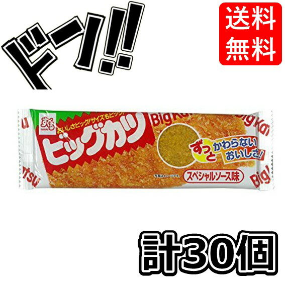 ビッグカツ スペシャルソース味 1枚×30袋 すぐる Bigカツ BIGカツ bigカツ ビックカツ 駄菓子 おつまみ おやつ お菓子 プレゼント 子供 イベント 定番 大ヒット 懐かしの 懐かしい 遠足 おやつ カレー ハムカツ 味噌