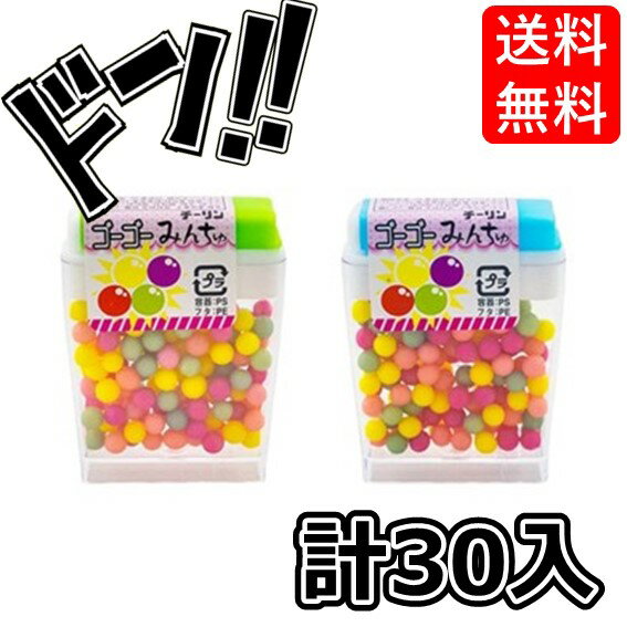 【5と0の日クーポンあり！】ゴーゴーみんちゅ 30入 チーリン製菓 笛 フエ ガム 駄菓子 お菓子 ごーごー 美味しい 懐かしい 思い出 ラムネ ミンツ チョコ ちーりん イベント 縁日 景品 子ども会 ギフト お配り用