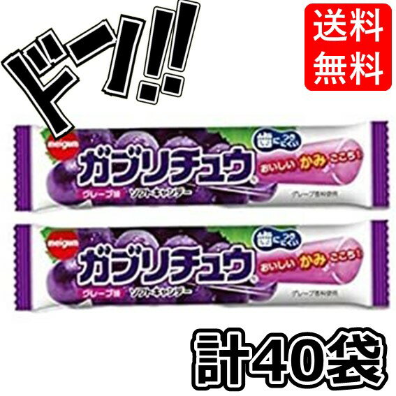 【5と0の日クーポンあり！】明治チューインガム ガブリチュウ＜グレープ＞【40本】