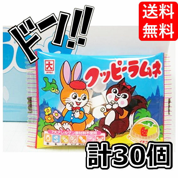 カクダイ製菓 クッピーラムネ 10g×30個 ラムネ 駄菓子 お菓子 ラムネ菓子 カクダイ ラムネの駄菓子 景品 イベント 子供 こども 人気 おやつ まとめ買...