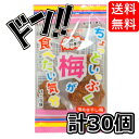 【よっちゃん食品】駄菓子屋よっちゃん〈いかの耳〉12g（10袋入）　　　　　　　　　　｛駄菓子　だがし屋　お菓子　おつまみ　珍味　まとめ買い｝