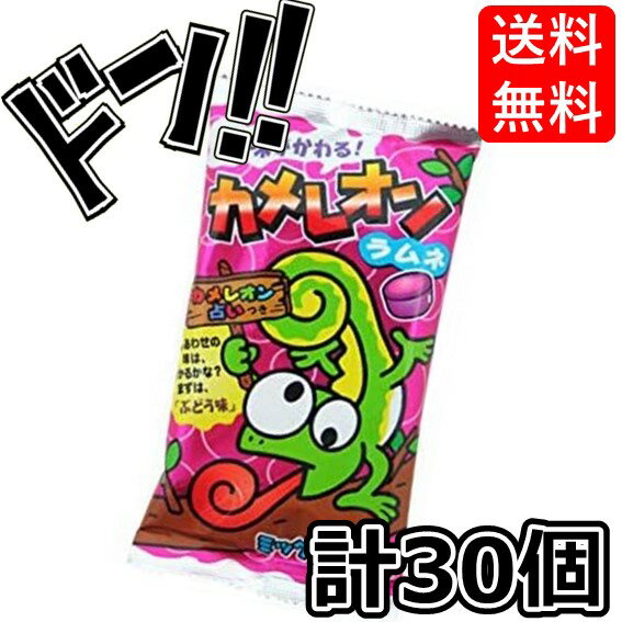 【5と0の日クーポンあり！】カメレオンラムネ 20g×30個 キッコー カメレオン ラムネ ラムネ菓子 らむね 小分け 縁日 駄菓子 詰め合わせ 送料無料 駄菓子屋 お菓子 子供 駄菓子 懐かしい 子供 子ども 子ども会 子供会 景品 イベント