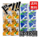 マーブルフーセンガム 4粒×48箱 オレンジ味 グレープ味 (各24箱) ( ボトルガム の2倍量 ) マルカワ 膨らむ 美味しい 人気 業務用 箱買い 大人買い イ