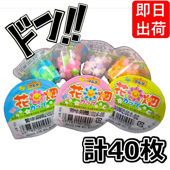 花畑カップ 10g×40袋 マルタ食品 ビビットカラーのプチカップ金平糖 駄菓子 お菓子 懐かしい 定番 大人気 イベント 景品 縁日 学祭 子供会 パーティー...