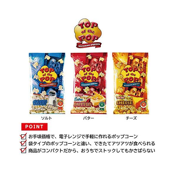 トップオブザポップ ソルト 100g×10個 ...の紹介画像2