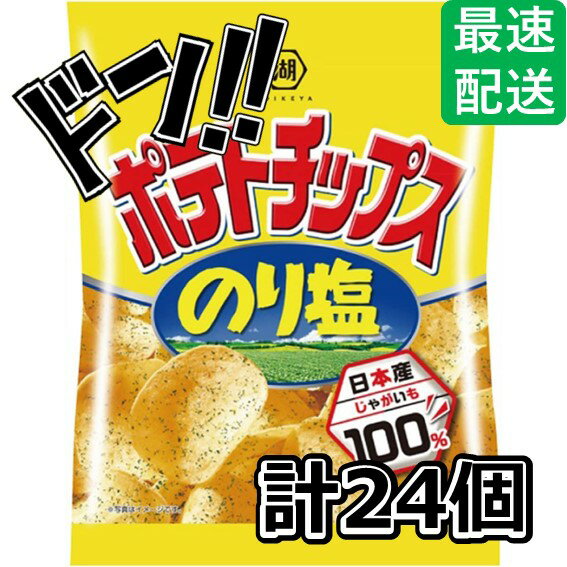 湖池屋 小袋ポテトチップス のり塩 28g×24袋 お菓子 スナック うすしお うす塩 のり塩 コンソメ バーベキュー ベジタブル おやつ 駄菓子 ポテト コー...