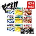 タブレット 3種9個セット ヨーグレット ハイレモン コーラパンチ 檸檬 コーラ ラムネ ニコニコ 美味しい 昔ながら セット 食べ比べ お得