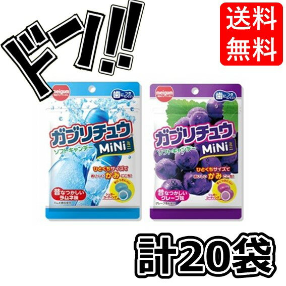 【5と0の日クーポンあり！】明治チューイング ガブリチュウ MINI（ミニ） ラムネ・グレープ 28g×20袋（2種各10袋）食べ比べ 箱買い アソート コーラ ソーダ まとめ買い グレープ メロンソーダ ASMR 大人買い セット アレンジ チューインガム 1