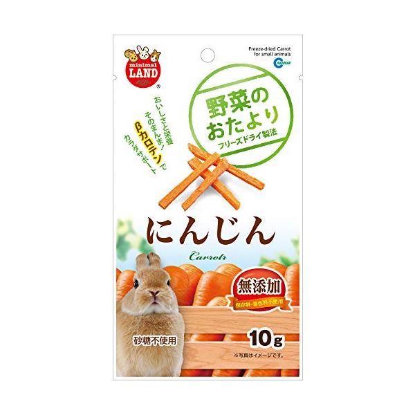 楽天SevenRabbitRiograndeマルカン 野菜のおたより にんじん 10g 10g