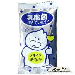 キッコー製菓 乳酸菌 入り キャンディ 乳酸菌生きてます ! 20g × 30袋 入 ヨーグルト 味 飴 健康