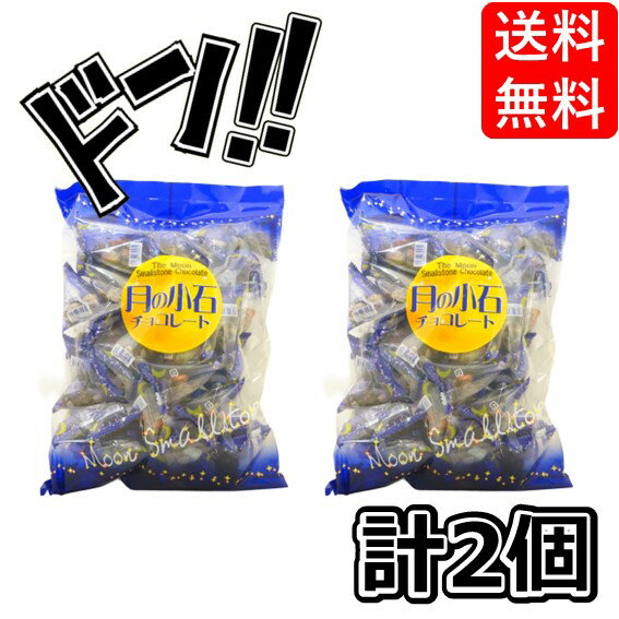 タクマ食品 月の小石 チョコレート 2袋 計100個 入り チョコレート菓子 チョコ お菓子 ばら撒