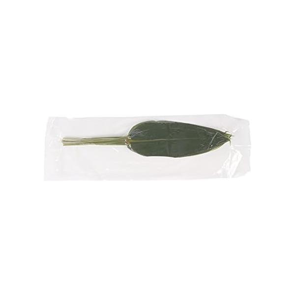 【5と0のつく日限定クーポン付！】笹の葉（水煮・枝無） / 10枚 富澤商店 その他葉・草のサムネイル