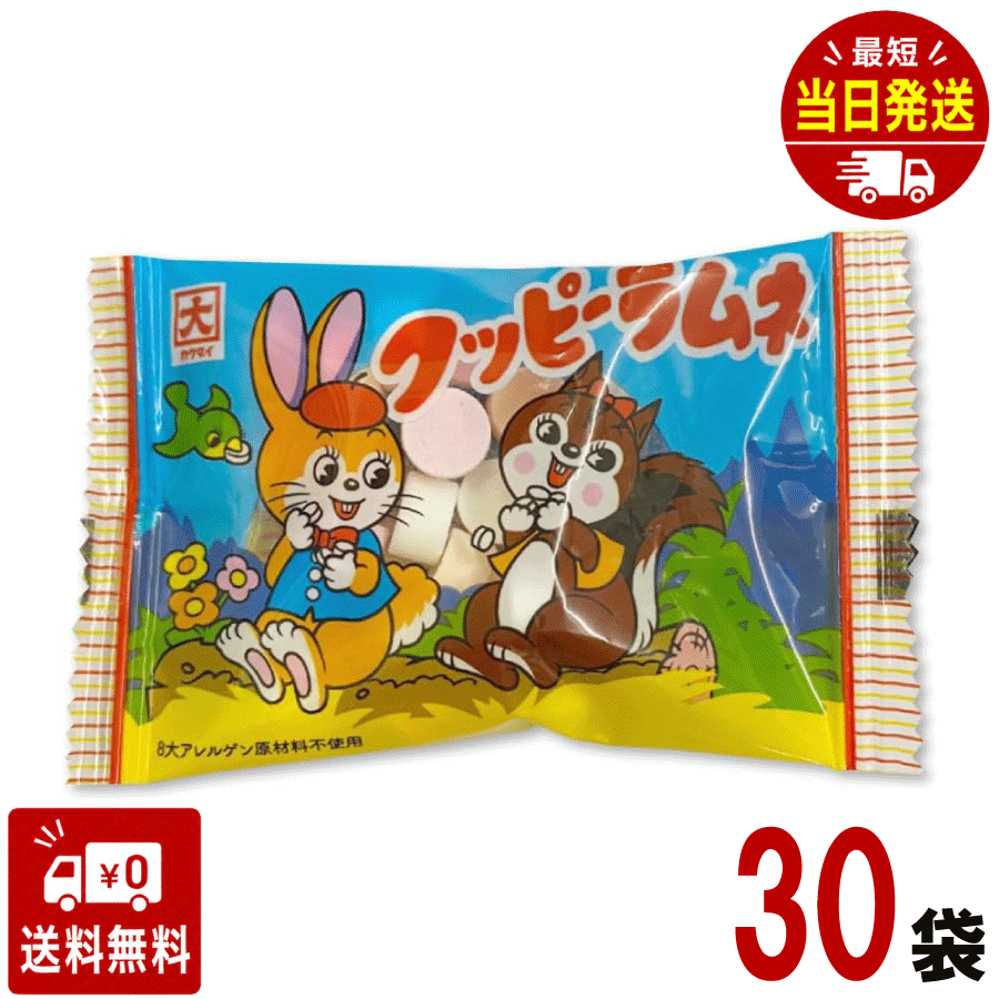 ▼▼▼▼▼▼▼▼▼▼▼▼▼▼▼▼▼▼▼▼▼▼▼▼ ※免責事項※　商品画像はイメージとなりまして、パッケージ変更・内容量の規格変更がある場合がございます。また商品をより安価でご提供させて頂くに際しまして、再梱包（外箱が付かない場合あり）でのお届けとなります。また内容量の規格変更があった場合に関しましては、販売金額から送料を除いた、内容量の差分相当の料金調整をさせて頂きます。上記による返金・返品はお受付できませんでの、ご了承の上お買い求め頂きますようお願い申し上げます。 ▼▼▼▼▼▼▼▼▼▼▼▼▼▼▼▼▼▼▼▼▼▼▼▼ 「リスウサギのキャラクターでおなじみの、みんな大好き♪ ラムネの定番 ■原材料 砂糖、コーンスターチ（遺伝子組換えでない）、ばれいしょでん粉（遺伝子組換えでない）、デキストリン、酸味料（クエン酸）、香料、アナトー色素、ブドウ果汁色素 ■メーカー：カクダイ商事 ■栄養成分表示 1袋標準4g当たり エネルギー（kcal） 16 炭水化物（g） 3.9 ナトリウム（mg） 0.1 ■アレルギー情報 メーカーにお問い合わせください。 【注意事項】 パッケージデザイン等は予告なく変更する場合があります。 （※パッケージデザインが異なる場合でも返品、交換の対応は不可となりますので予めご了承ください。） 食べ比べ　お試し　人気 イベント　子供　お菓子　美味しい　プレゼント 大人気 駄菓子 定番 景品 イベント 縁日 子供会送料無料 大人気 おやつに ポイント消化 おもしろ 駄菓子 箱 縁日 駄菓子 駄菓子 送料無料 サイダー コーラ グレープ オレンジ 駄菓子 業務用 おつまみ 残暑見舞い リモート 飲み会 ギフト お菓子 人気商品 GW お土産 ギフト 帰省土産 プレゼント 個包装 詰め合わせ 内祝い お礼 お祝い お返し 手土産 ご挨拶 贈り物 お菓子 おもてなしお菓子 快気祝い