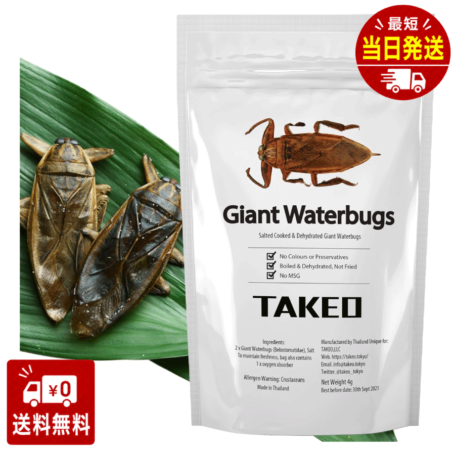 昆虫食TAKEO タガメ 2匹 塩味 タイワンタガメ ジャイアントウォーターバグ そのまま食べれる昆虫食 昆虫スナック 香りはしない 初心者 ギフト プレゼント 罰ゲーム非推奨 国内正規品【創業10年】