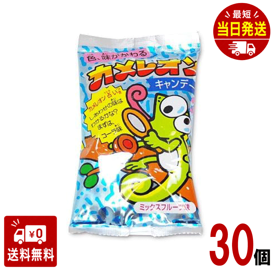 ▼▼▼▼▼▼▼▼▼▼▼▼▼▼▼▼▼▼▼▼▼▼▼▼ ※免責事項※　商品画像はイメージとなりまして、パッケージ変更・内容量の規格変更がある場合がございます。また商品をより安価でご提供させて頂くに際しまして、再梱包（外箱が付かない場合あり）でのお届けとなります。また内容量の規格変更があった場合に関しましては、販売金額から送料を除いた、内容量の差分相当の料金調整をさせて頂きます。上記による返金・返品はお受付できませんでの、ご了承の上お買い求め頂きますようお願い申し上げます。 ▼▼▼▼▼▼▼▼▼▼▼▼▼▼▼▼▼▼▼▼▼▼▼▼ カメレオンキャンディ ■原材料 砂糖、水飴、りんご果汁、酸味料、カラメル色素、香料、増粘剤(アラビアガム)、野菜色素、ウコン色素、紅花色素、クチナシ色素、光沢剤 ■メーカー：?キッコー製菓 ■アレルギー情報 メーカーにお問い合わせください。 【注意事項】 パッケージデザイン等は予告なく変更する場合があります。 （※パッケージデザインが異なる場合でも返品、交換の対応は不可となりますので予めご了承ください。） 食べ比べ　お試し　人気 イベント　子供　お菓子　美味しい　プレゼント 大人気 駄菓子 定番 景品 イベント 縁日 子供会送料無料 大人気 おやつに ポイント消化 おもしろ 駄菓子 箱 縁日 駄菓子 駄菓子 送料無料 サイダー コーラ グレープ オレンジ 駄菓子 業務用 おつまみ 残暑見舞い リモート 飲み会 ギフト お菓子 人気商品 GW お土産 ギフト 帰省土産 プレゼント 個包装 詰め合わせ 内祝い お礼 お祝い お返し 手土産 ご挨拶 贈り物 お菓子 おもてなしお菓子 快気祝い