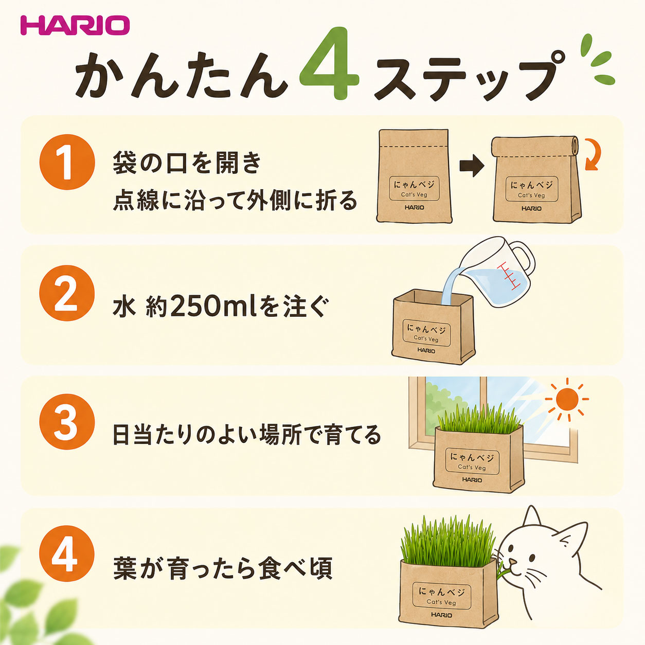 SevenRabbitRiograndeのにゃんベジ 猫草栽培キット HARIO ハリオ リフィル 2P ×5袋まとめ買いセット にゃんべじ 猫草 ねこくさ 猫草栽培セット 栽培 キット ニャンベジ 猫用草 セット まとめ買い 買い溜め 安心 毛玉ケア キャットフード｜アングル3
