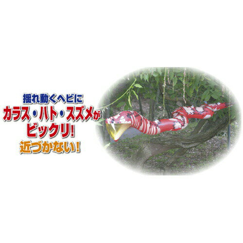 大蛇龍宝丸K-004高芝ギムネ防鳥用品