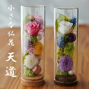 お供え 仏花 プリザーブドフラワー 御供 花 仏壇用 お盆 お供え 花 お悔み 花 お悔やみ アレンジメント お供え ペット 仏壇用 モ ン 小ぶり 仏壇 枯れない 花 一周忌 四十九日 お彼岸 新盆 初盆 お花 ギフト 法事 ブリザードフラワー 仏花 手元供養 小さな仏花 天道 お供え 仏花 プリザーブドフラワー 御供 花 仏壇用 お盆 お供え 花 お悔み 花 お悔やみ アレンジメント お供え ペット 仏壇用 モ ン 小ぶり 仏壇 枯れない 花 一周忌 四十九日 お彼岸 新盆 初盆 お花 ギフト 法事 ブリザードフラワー 仏花 手元供養 小さな仏花 天道