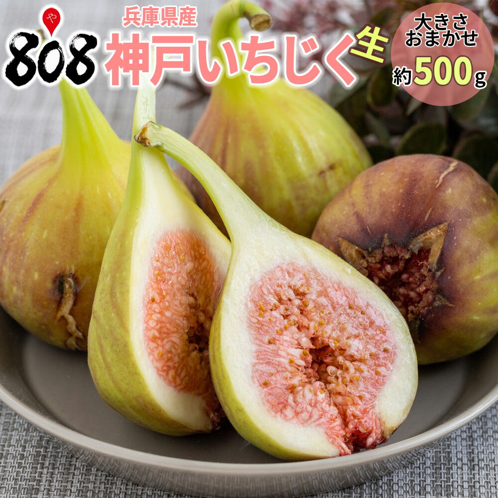 【クール便送料無料】【兵庫県産】神戸いちじく　生　大きさお任せ　1パック　4〜8個　約500g(北海道沖縄別途送料加算)