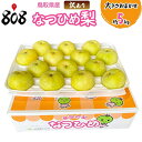 【送料無料】【鳥取県産】訳あり なつひめ 梨 大きさおまかせ 約5kg(北海道沖縄別途送料加算)
