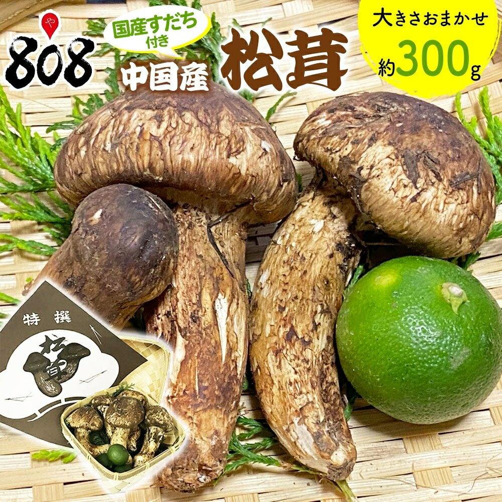 【送料無料】【中国産】松茸 専用カゴ入り 国産すだち付き 大きさおまかせ 約300g(北海道沖縄別途送料加算)のサムネイル