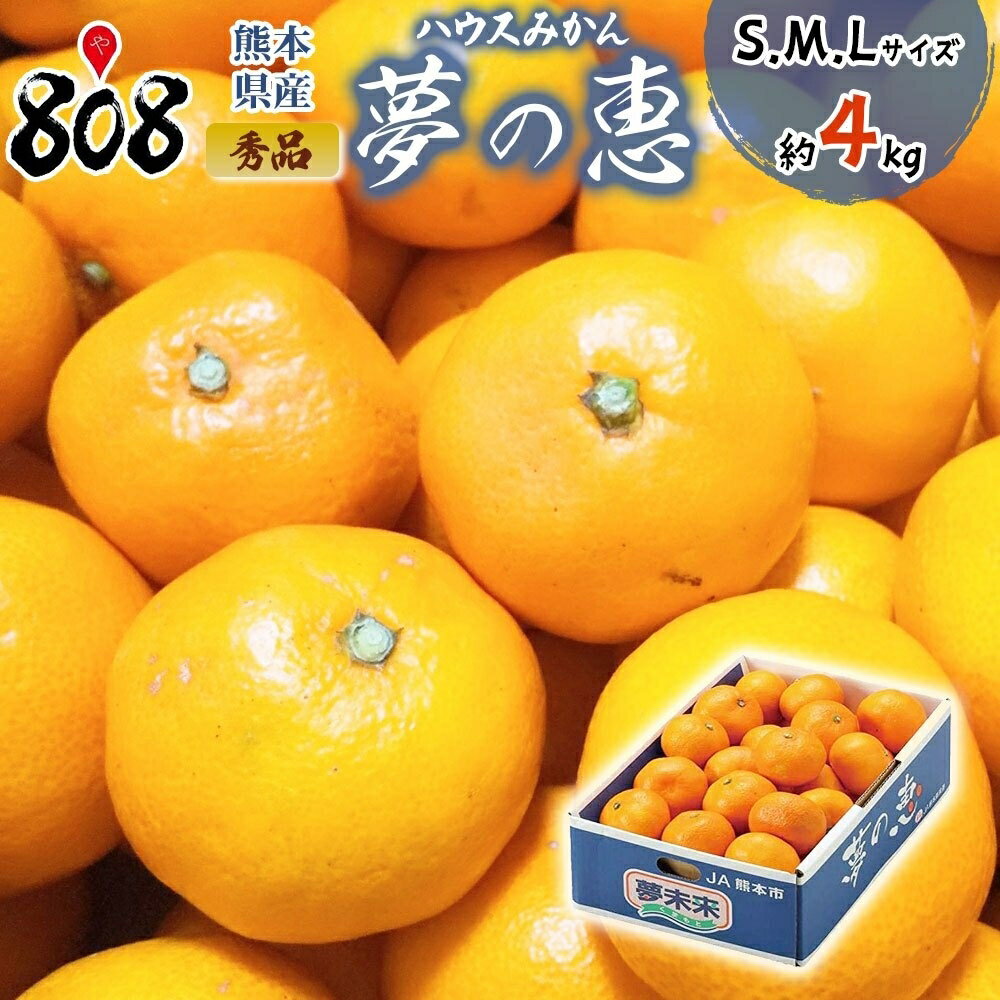 【送料無料】【熊本県産】秀品　夢の恵　S.M.Lサイズ　約4kg　糖度12度以上保証！(北海道沖縄別途送料加算)のサムネイル