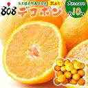 【送料無料】【西日本産】訳あり デコポン 大きさお任せ 10kg(北海道沖縄別途送料加算)