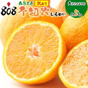 【送料無料】【西日本産】訳あり 不知火 しらぬい 大きさお任せ 約5kg(北海道沖縄別途送料加算)