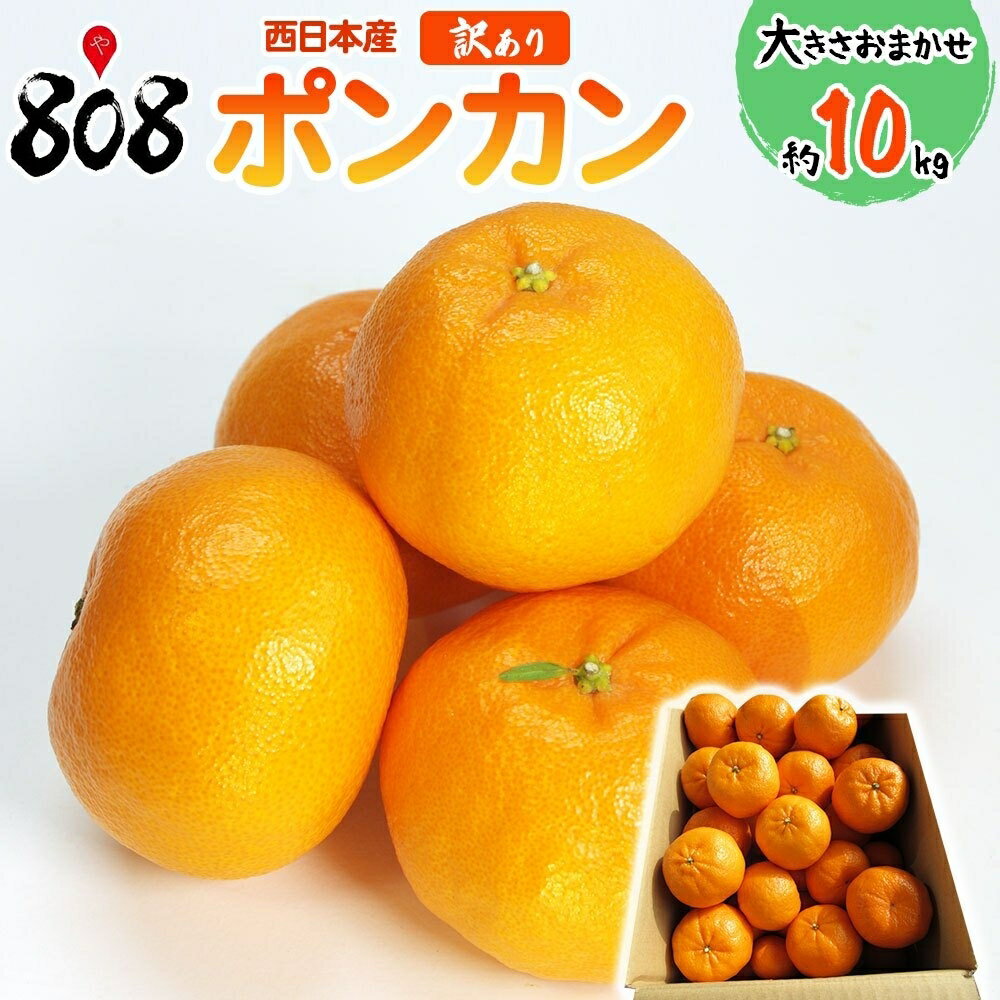 【送料無料】【西日本産】訳あり ポンカン 大きさおまかせ 約10kg(北海道沖縄別途送料加算)のサムネイル
